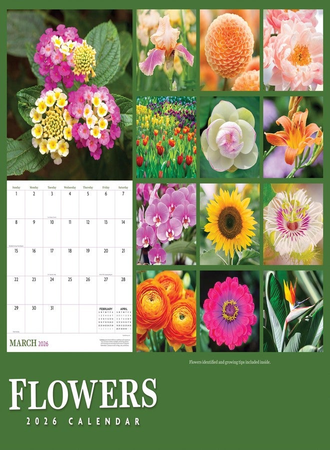 TF Publishing 2026 Flowers Wall Calendar - Large Grids for Appointments and Scheduling - Vertical Monthly Wall Calendar 2026 with Premium Gloss Paper for Home and Office Organization - 12in x 12in - Image 3