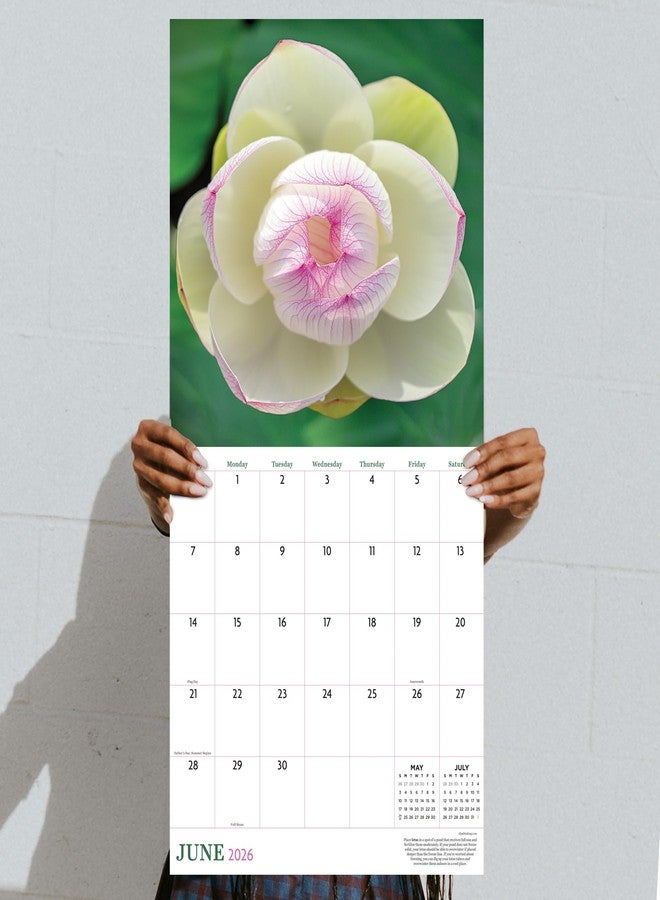 TF Publishing 2026 Flowers Wall Calendar - Large Grids for Appointments and Scheduling - Vertical Monthly Wall Calendar 2026 with Premium Gloss Paper for Home and Office Organization - 12in x 12in - Image 5