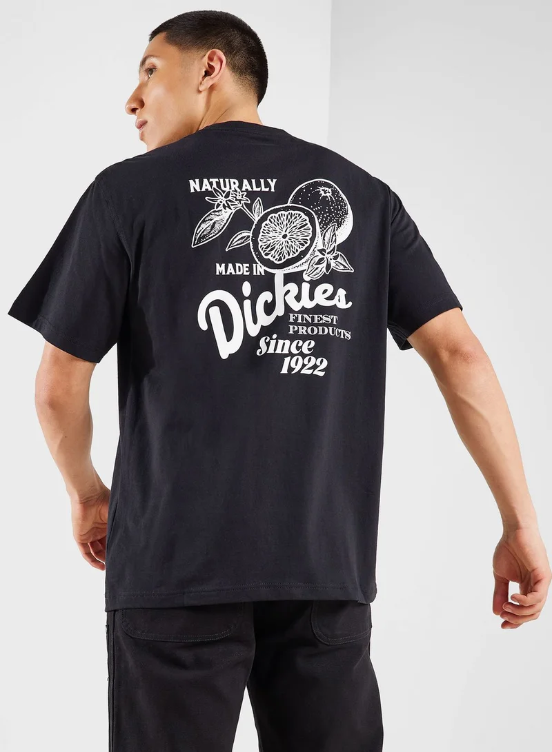 Dickies Raven T-Shirt