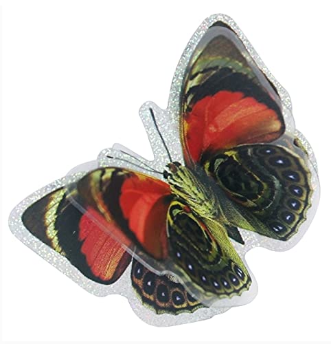 E Shopping Multi Colored Butterfly Stickers Charts Set of 3 Charts for School Projects Decoration Hobbies Scrapbooking Polyvinyl Chloride - Image 4