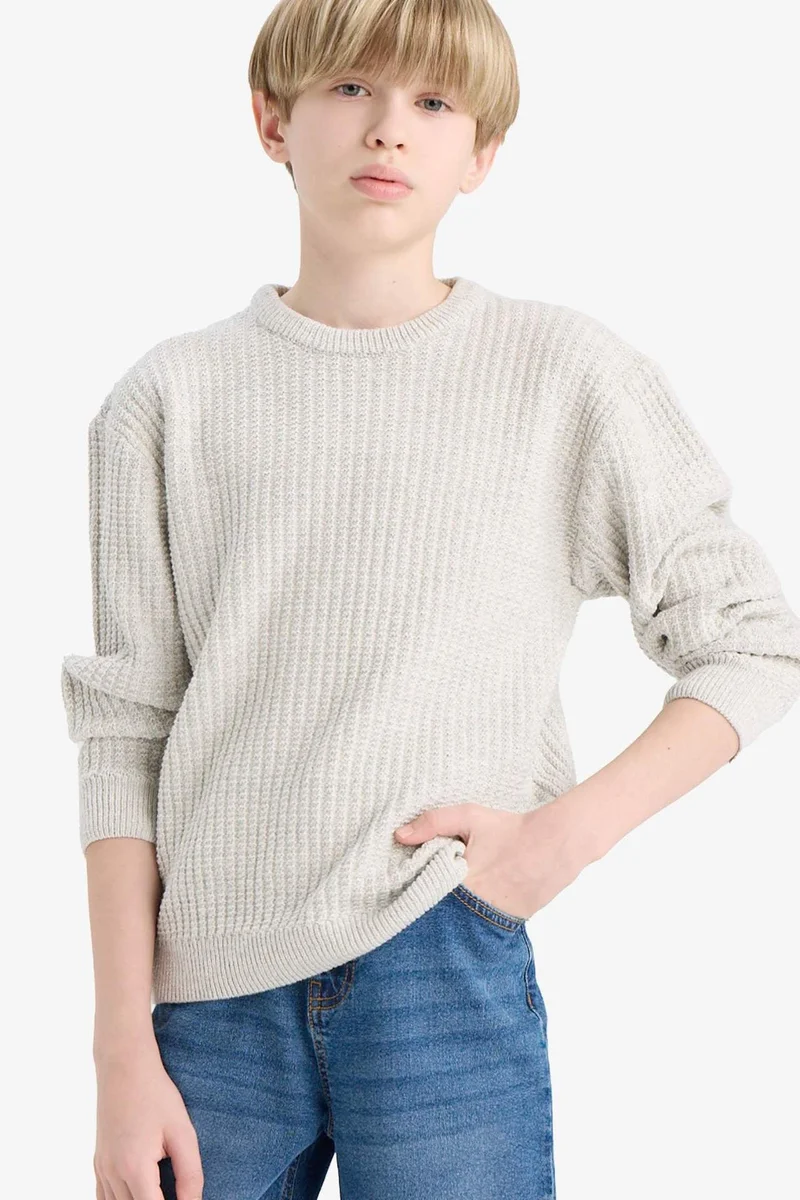 DeFacto Boy Regular Fit Crew Neck Pullover