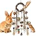 Bissap Bunny Chew Toy Rabbit Cage Hanging Chewing Toy Treat Christmas Grapevine Wreaths Rattan Ring with Snack Water Grass for Guinea Pig Chinchilla Hamster Rat and Other Small Pet Teeth Grinding - Image 3