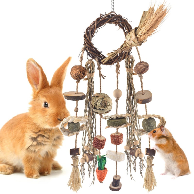 Bissap Bunny Chew Toy Rabbit Cage Hanging Chewing Toy Treat Christmas Grapevine Wreaths Rattan Ring with Snack Water Grass for Guinea Pig Chinchilla Hamster Rat and Other Small Pet Teeth Grinding - Image 2