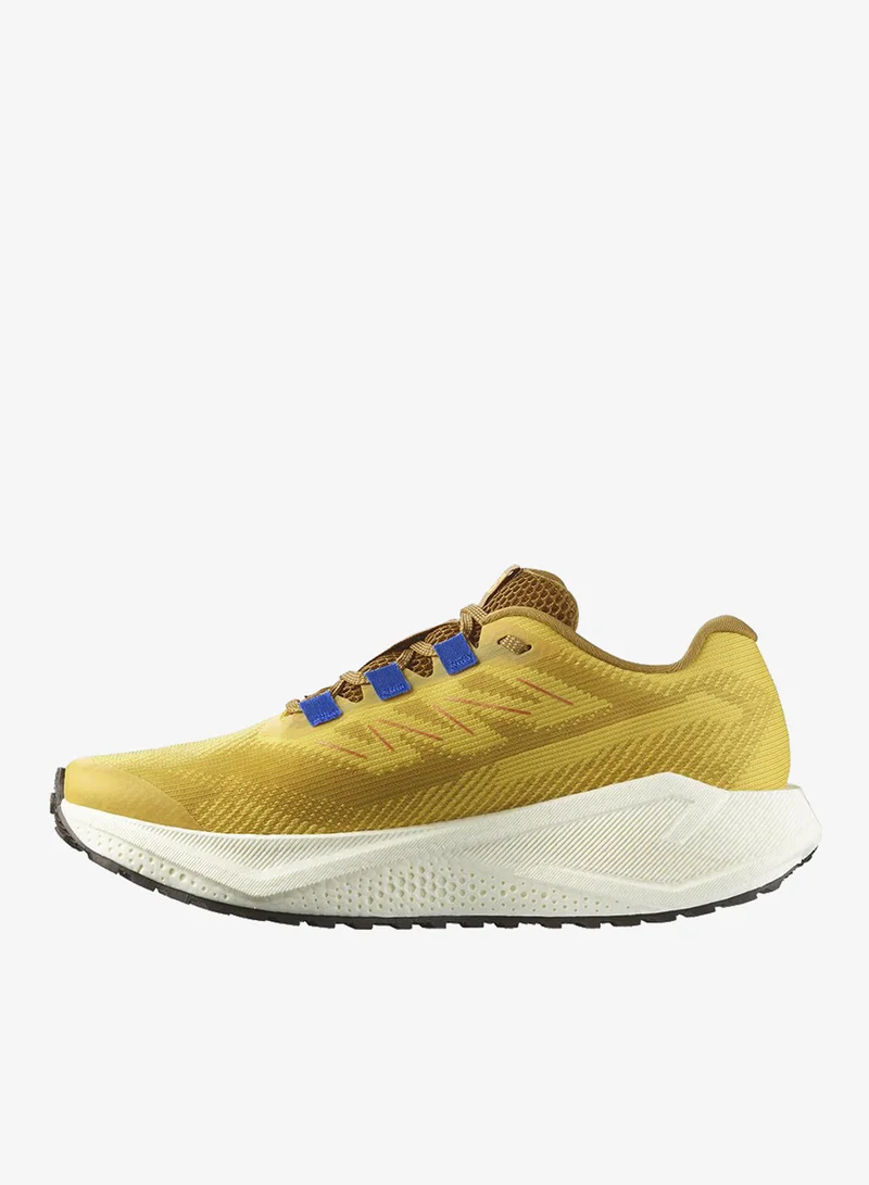 Salomon AERO BLAZE 3