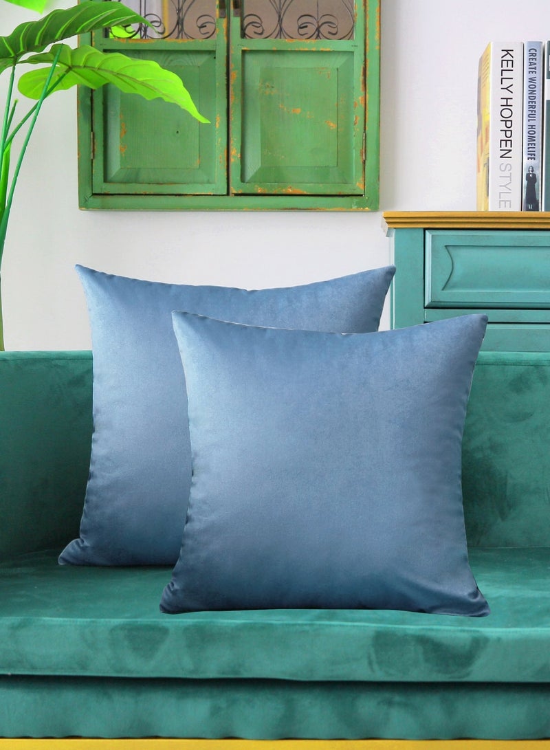 رمي غطاء الوسادة أزرق فاتح مجموعة من 2 45x45cm الخريف غطاء الوسادة، ناعم مخملي مزرعة محايدة غطاء الوسادة الزخرفية للأريكة أريكة السرير، ديكور المنزل بوهو، غطاء الوسادة الحديثة - Image 2