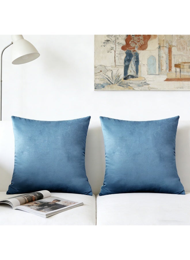 رمي غطاء الوسادة أزرق فاتح مجموعة من 2 45x45cm الخريف غطاء الوسادة، ناعم مخملي مزرعة محايدة غطاء الوسادة الزخرفية للأريكة أريكة السرير، ديكور المنزل بوهو، غطاء الوسادة الحديثة - Image 1