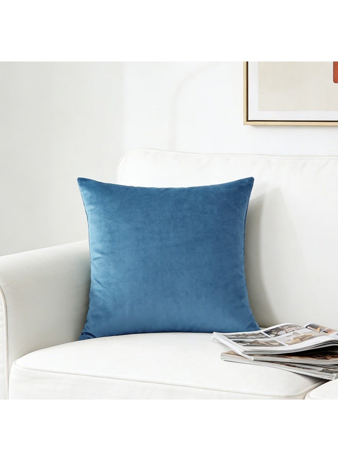 رمي غطاء الوسادة أزرق فاتح مجموعة من 2 45x45cm الخريف غطاء الوسادة، ناعم مخملي مزرعة محايدة غطاء الوسادة الزخرفية للأريكة أريكة السرير، ديكور المنزل بوهو، غطاء الوسادة الحديثة - Image 3