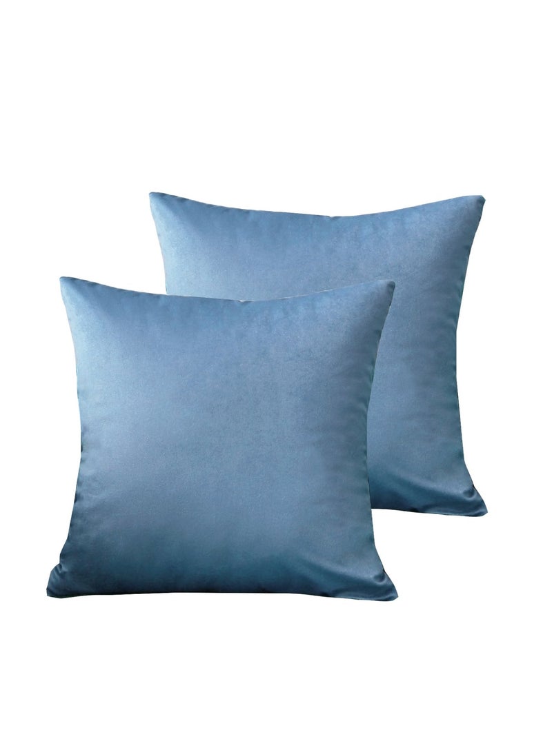 رمي غطاء الوسادة أزرق فاتح مجموعة من 2 45x45cm الخريف غطاء الوسادة، ناعم مخملي مزرعة محايدة غطاء الوسادة الزخرفية للأريكة أريكة السرير، ديكور المنزل بوهو، غطاء الوسادة الحديثة - Image 4