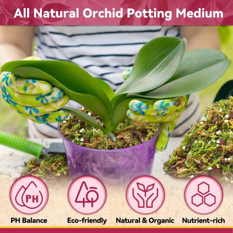 Riare 1Qt Orchid Potting Mix For Repotting- Orchid Repotting Kit Include Moss  Pine Bark  Perlite  Coco Peat- Premium Orchid Soil Medium For Indoor Potted Plants Root Ventilation & Expanding - Image 4