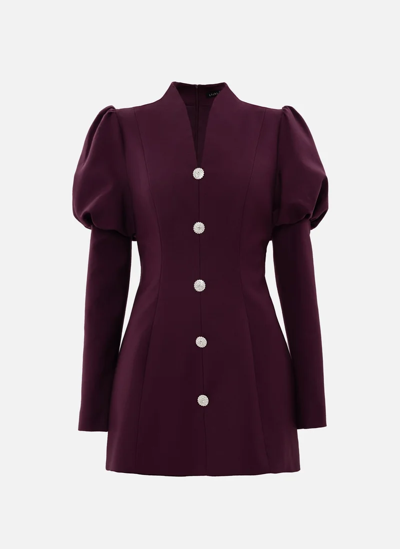 Lichi Mini dress with voluminous sleeves and accent buttons