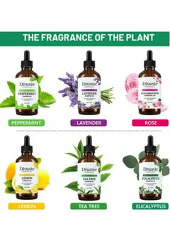 Disunie Bulgarian Rose Pure Essential Oil 118 ML  - Image 2