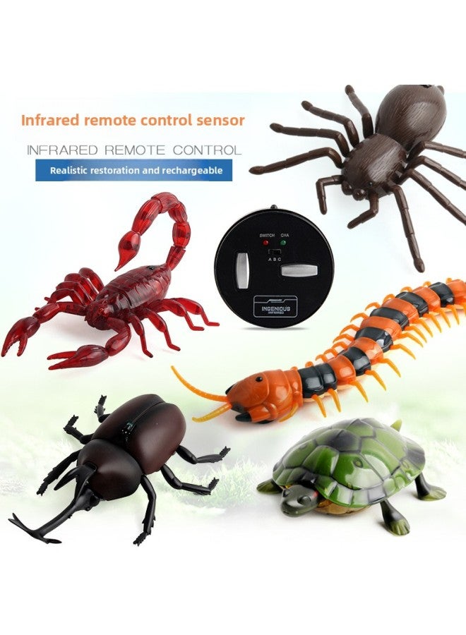 Strange Remote Control Scorpion Centipede Turtle Spider Beetle Infrared Induction Reptile Electric Remote Control Toy-Color:Spider 9991 Brown  - Image 2