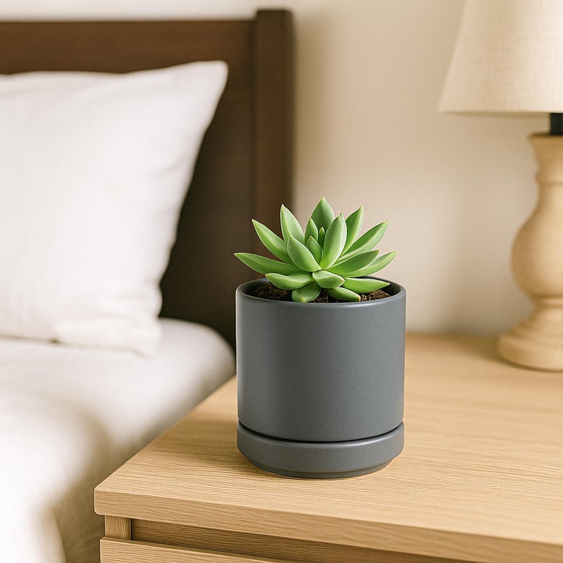 D'vine Dev 3.5 Inch Ceramic Planter Pot with Drainage Hole and Saucer, Indoor Cylinder Round Planter Pot, Speckled Grey, 94-O-A-3 - Image 3