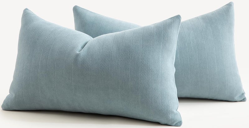 MANDIOO Pack of 2 Chenille Throw Pillow Covers Elegant Design Soft and Luxurious Decorative Cushion Covers Pillowcase Couch Sofa Bedroom Living Room Home Decor 16x24 Inch Light Blue - Image 1
