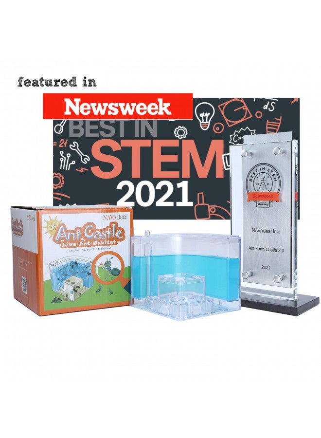 NAVADEAL NAVADEAL Ant Farm Castle Experiment and Toy Allows Study of Social Structure, Architecture, Ecosystem, and The Behavior of Ants Within The 3D Maze of Translucent Gel - Image 5