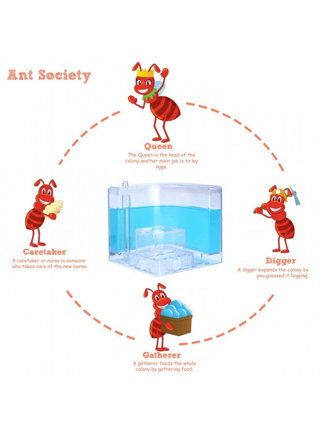 NAVADEAL NAVADEAL Ant Farm Castle Experiment and Toy Allows Study of Social Structure, Architecture, Ecosystem, and The Behavior of Ants Within The 3D Maze of Translucent Gel - Image 3