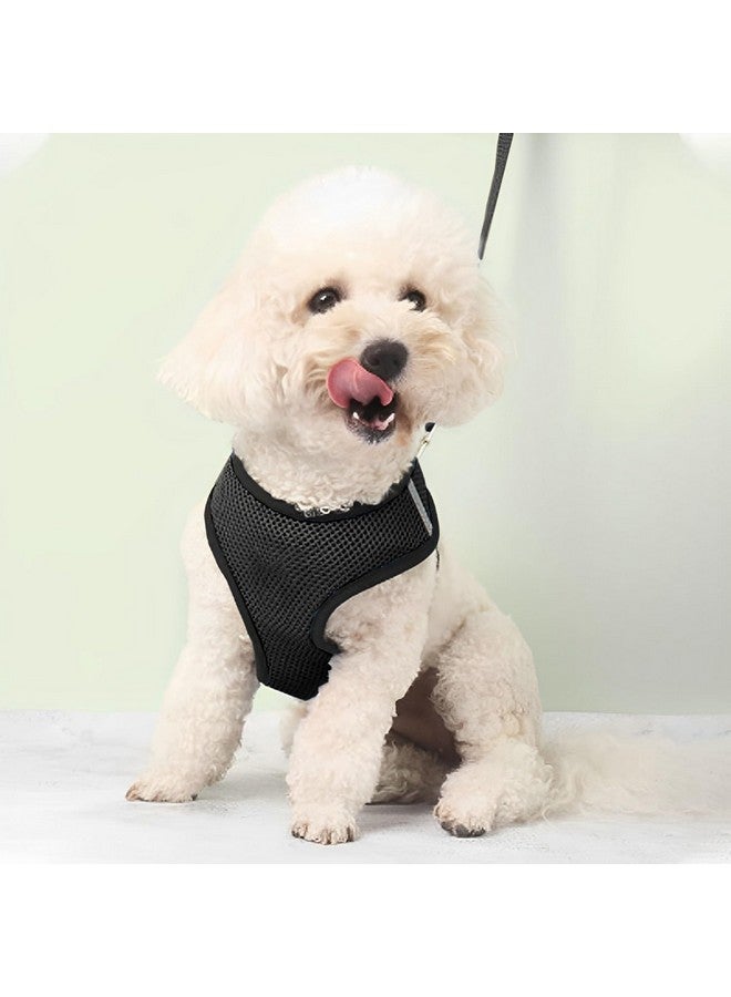 Homestic Reflective Dog Harness With Adjustable Leash|Breathable Polyester Mesh Fabric With Top Carry Handle|Small Size|Hat-818|Comfortable No-Pull Grip|Quick Release Buckles|Black - Image 1