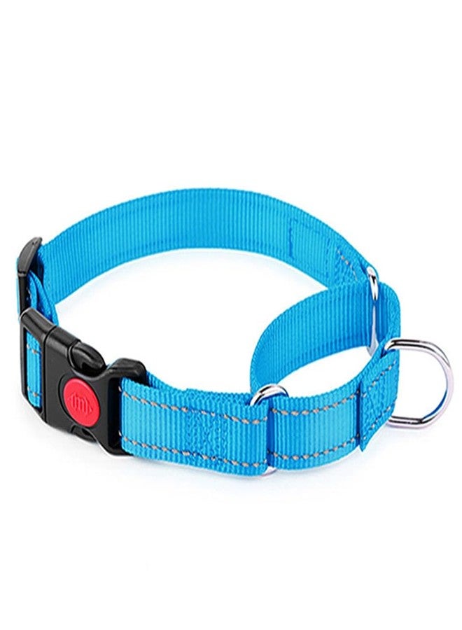 cyhaen Martingale Collar for Dogs with Buckle,Light Blue S - Image 2
