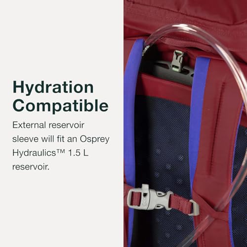 Osprey Jet 18L Kid's Hiking Backpack, Euphoria Purple - Image 4