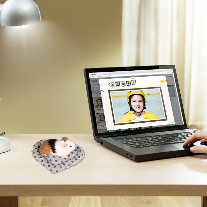 Soft Cotton Hamster Warm Nest Pad Winter Cushion For Guinea Pigs Small Animals - Image 5