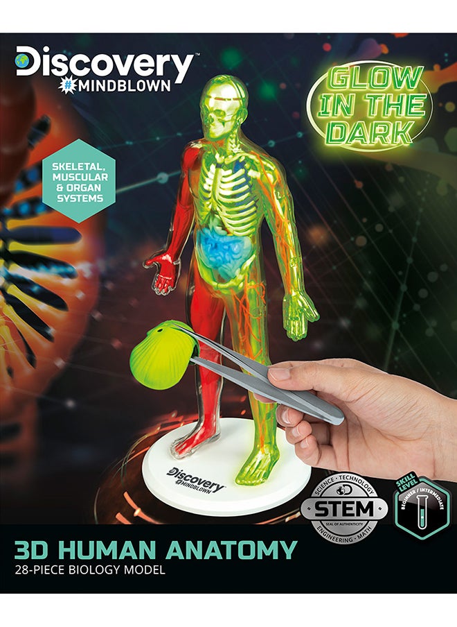 Discovery Mindblown Human Anatomy Kit STEM Toys for 8+ Years  - Image 5