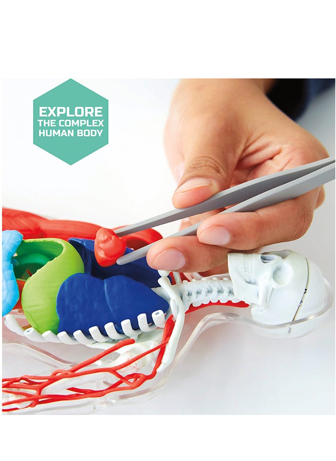 Discovery Mindblown Human Anatomy Kit STEM Toys for 8+ Years  - Image 3