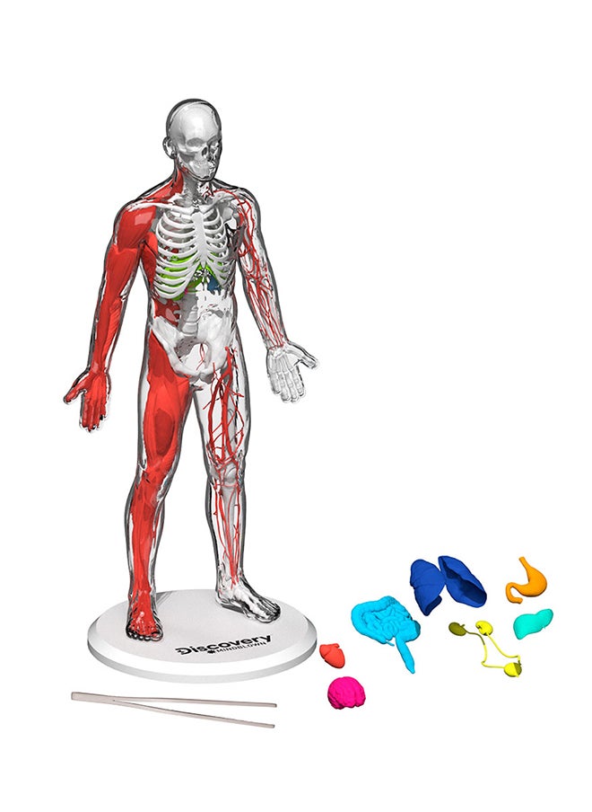 Discovery Mindblown Human Anatomy Kit STEM Toys for 8+ Years  - Image 2