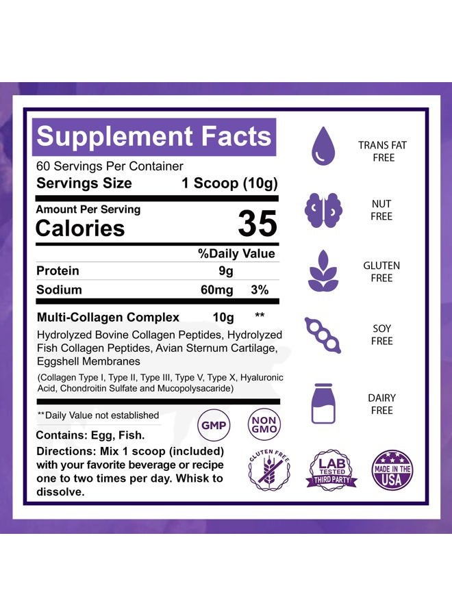 Multi-Collagen Protein Powder 620ml Best Value - Blend of Grass-Fed Beef, Wild Fish, Patent Formula-TendoGuard -Chicken, Eggshell Collagen Peptides, Providing Type I, II, III, V and X. - Image 2