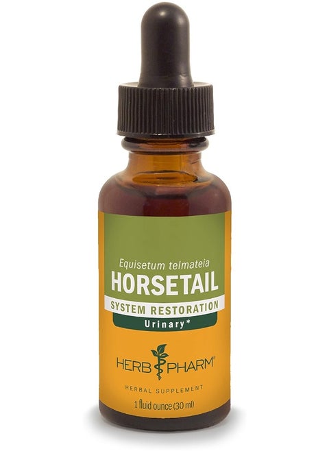 Horsetail Extract For Urinary System Support 1