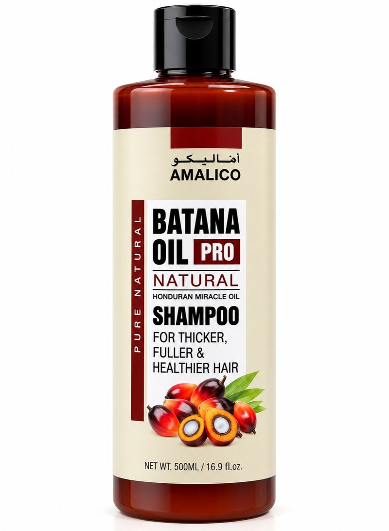 AMALICO Batana Oil Pro Natural Shampoo Honduran Miracle Oil Fuller Hair 500ml - Image 1