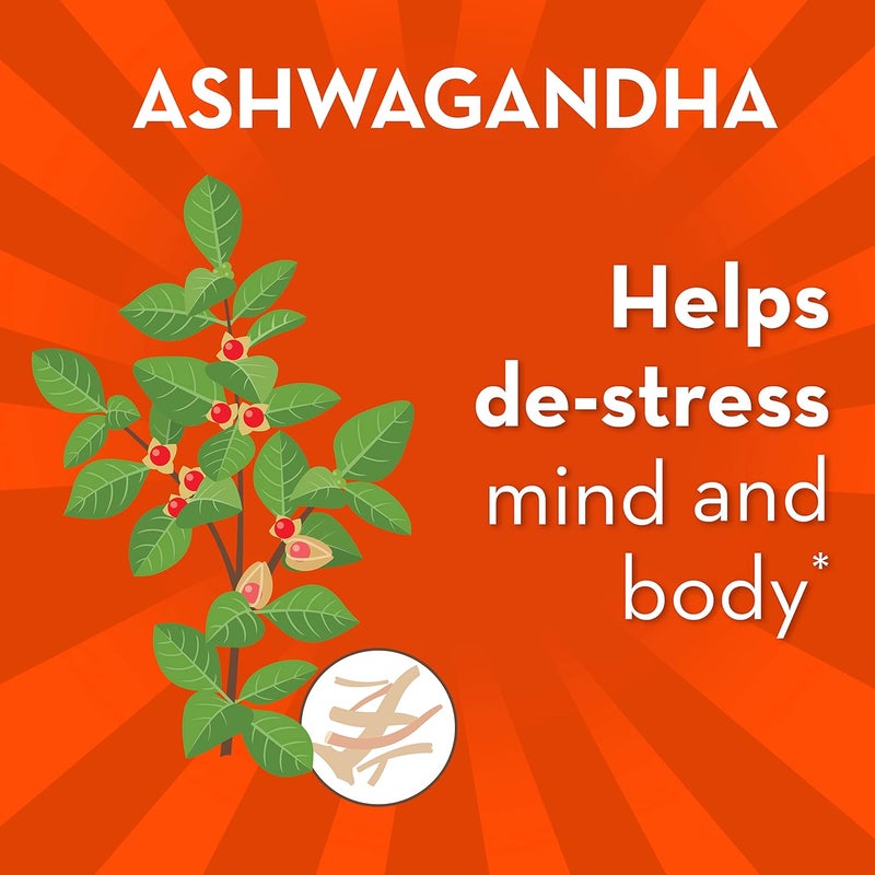 Align Probiotic Digestive DeStress Probiotic for Women and Men with Ashwagandha Helps with a Healthy Response to Stress Gluten Free Soy Free Vegetarian 21 Capsules Pack of 2 - Image 5