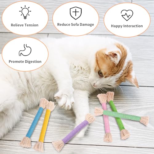 Retro Shaw Cat Toys Ropes with Catnip 6Pcs, Safe Teething Cleaning Kitten Toys for Indoor Cats Kitty, Interactive Cat Nip Chew Toys Kicker - Image 5