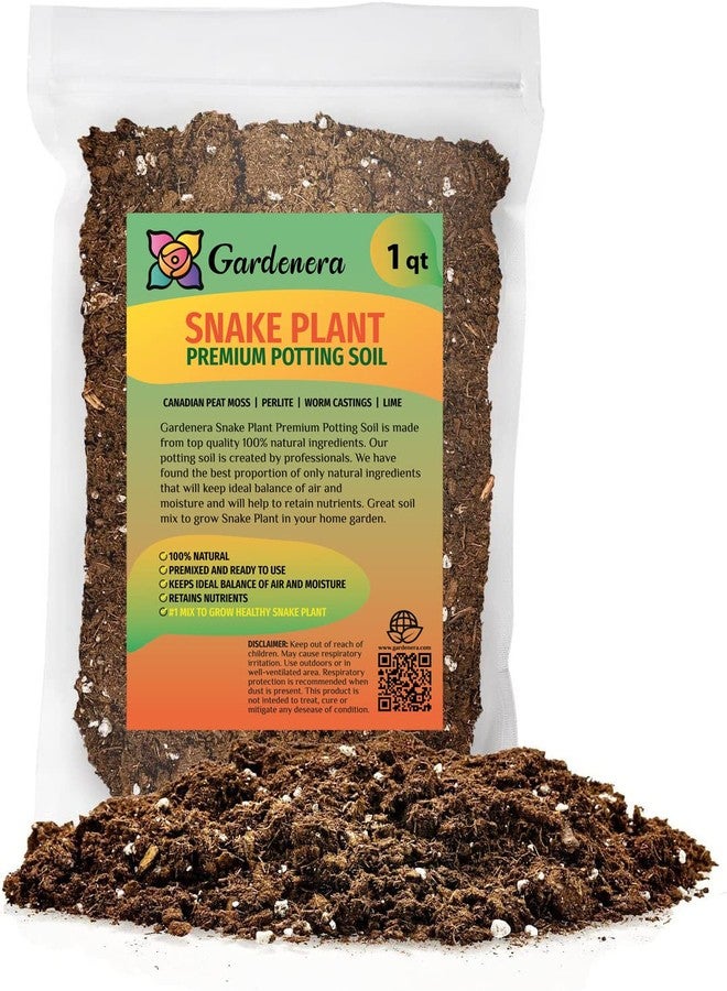 GARDENERA Premium Snake Plant Potting Soil Mix, Green Sansevieria Trifascatia Zeylanica Plants, Plant or Re-Pot Your Snake Plant - (1 Quart Bag) - Image 1