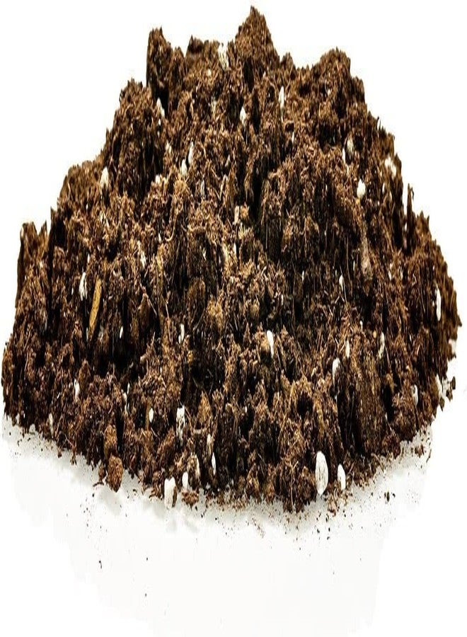 GARDENERA Premium Snake Plant Potting Soil Mix, Green Sansevieria Trifascatia Zeylanica Plants, Plant or Re-Pot Your Snake Plant - (1 Quart Bag) - Image 4