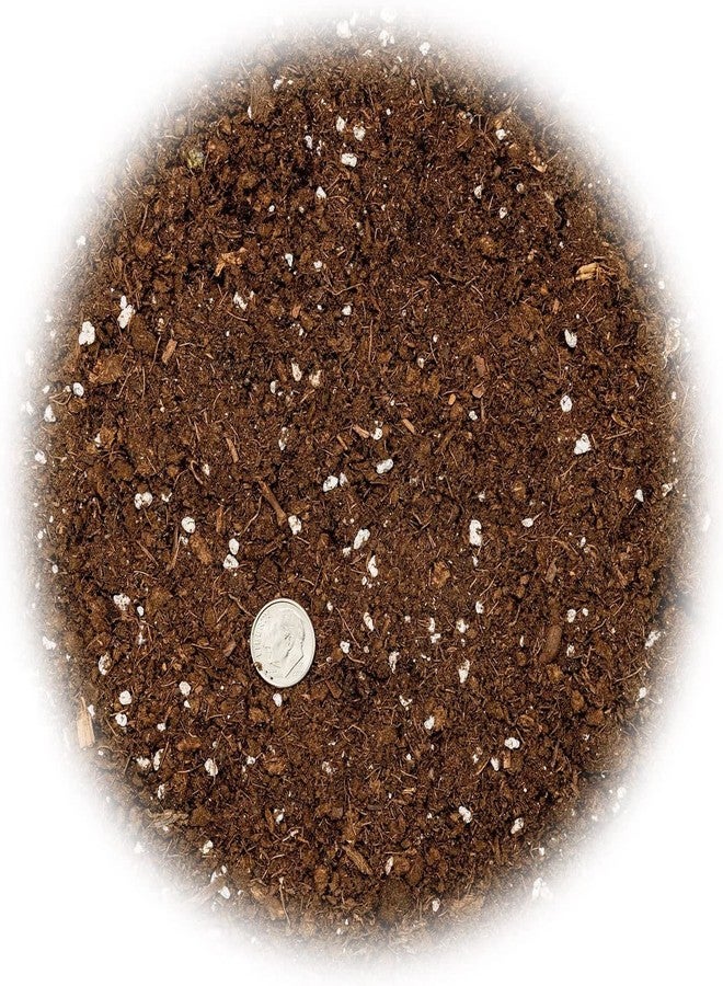 GARDENERA Premium Snake Plant Potting Soil Mix, Green Sansevieria Trifascatia Zeylanica Plants, Plant or Re-Pot Your Snake Plant - (1 Quart Bag) - Image 3