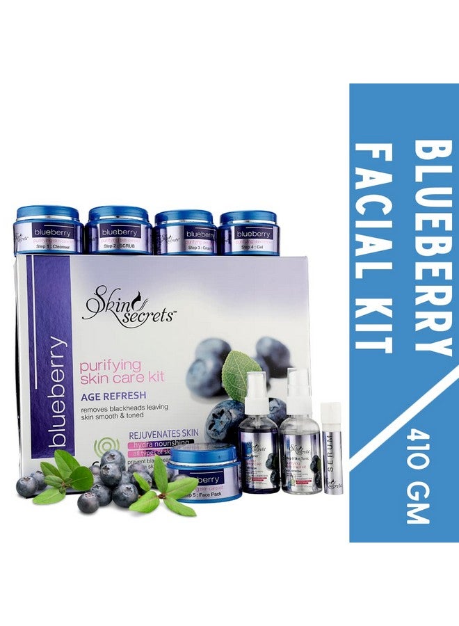 Skin Secrets Blueberry Facial Kit With Blueberry Extract For A Younger Looking Skin, 410Gm (Pack Of 8) - Image 2