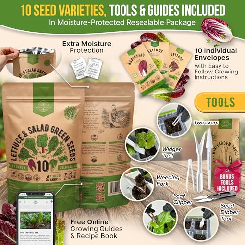 Organo Republic 10 Lettuce & Salad Greens Seeds Variety Pack 13000+ Non-GMO Heirloom Lettuce Seeds for Planting Indoors & Outdoors Garden, Hydroponics - Arugula, Radicchio, Kale, Spinach, Swiss Chard - Image 3