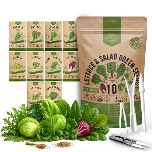 Organo Republic 10 Lettuce & Salad Greens Seeds Variety Pack 13000+ Non-GMO Heirloom Lettuce Seeds for Planting Indoors & Outdoors Garden, Hydroponics - Arugula, Radicchio, Kale, Spinach, Swiss Chard - Image 1