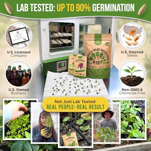 Organo Republic 10 Lettuce & Salad Greens Seeds Variety Pack 13000+ Non-GMO Heirloom Lettuce Seeds for Planting Indoors & Outdoors Garden, Hydroponics - Arugula, Radicchio, Kale, Spinach, Swiss Chard - Image 2