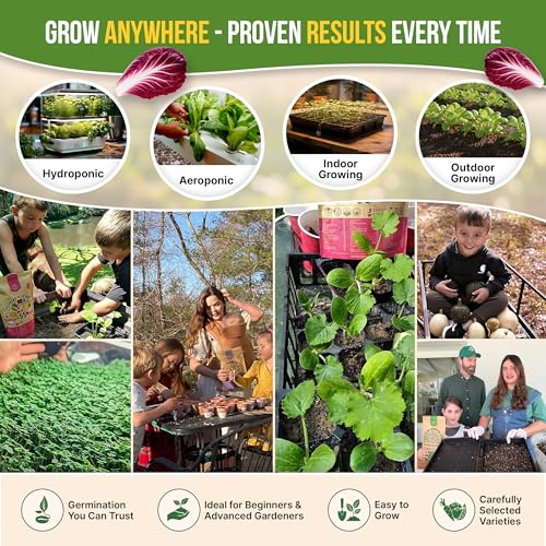 Organo Republic 10 Lettuce & Salad Greens Seeds Variety Pack 13000+ Non-GMO Heirloom Lettuce Seeds for Planting Indoors & Outdoors Garden, Hydroponics - Arugula, Radicchio, Kale, Spinach, Swiss Chard - Image 5