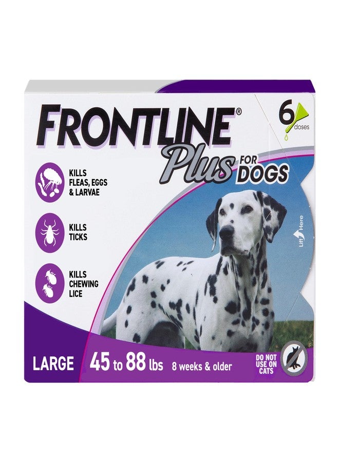 Frontline Plus for Dogs Large Dog (45 to 88 pounds) Flea and Tick Treatment, 6 Doses - Image 1