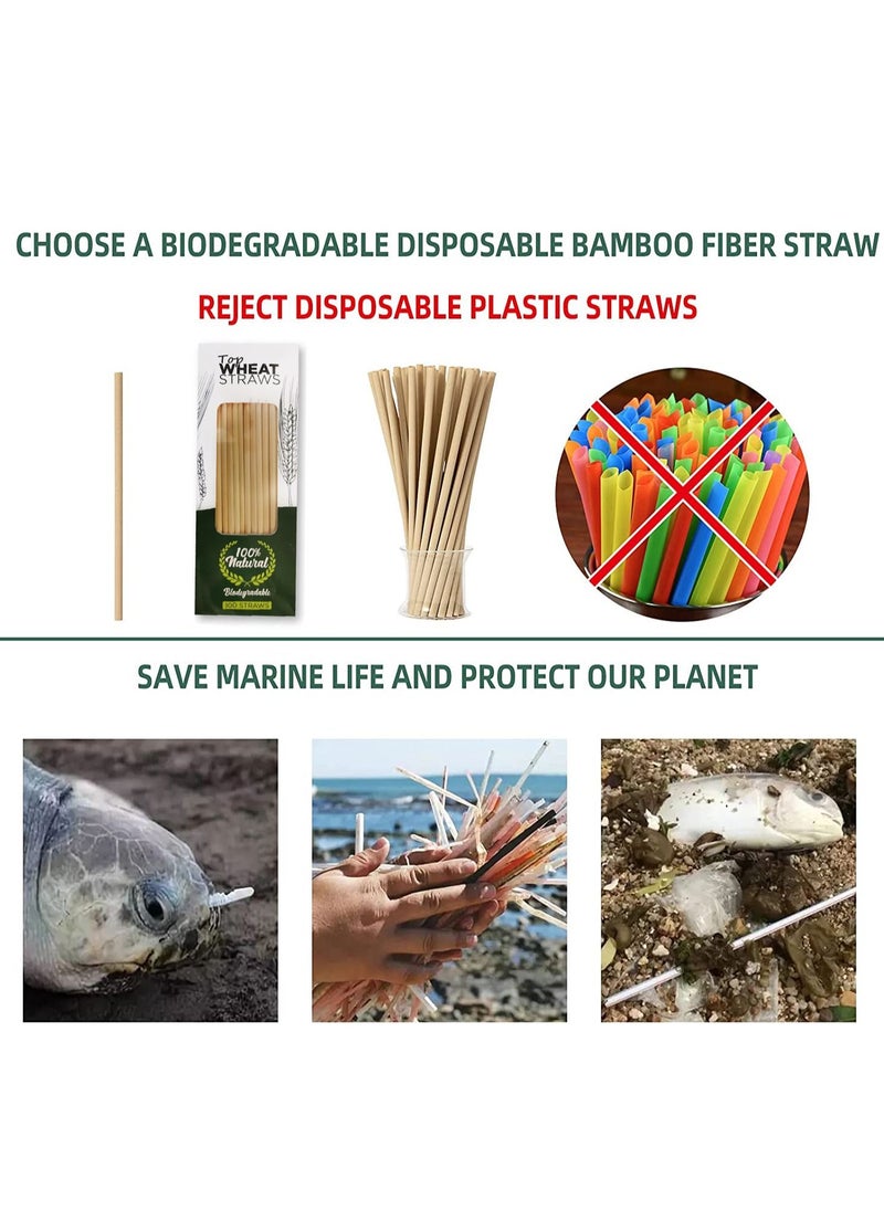 Wheat Straws-100 All-Natural Drinking Straws - Single use Disposable, Biodegradable and Compostable 18cm