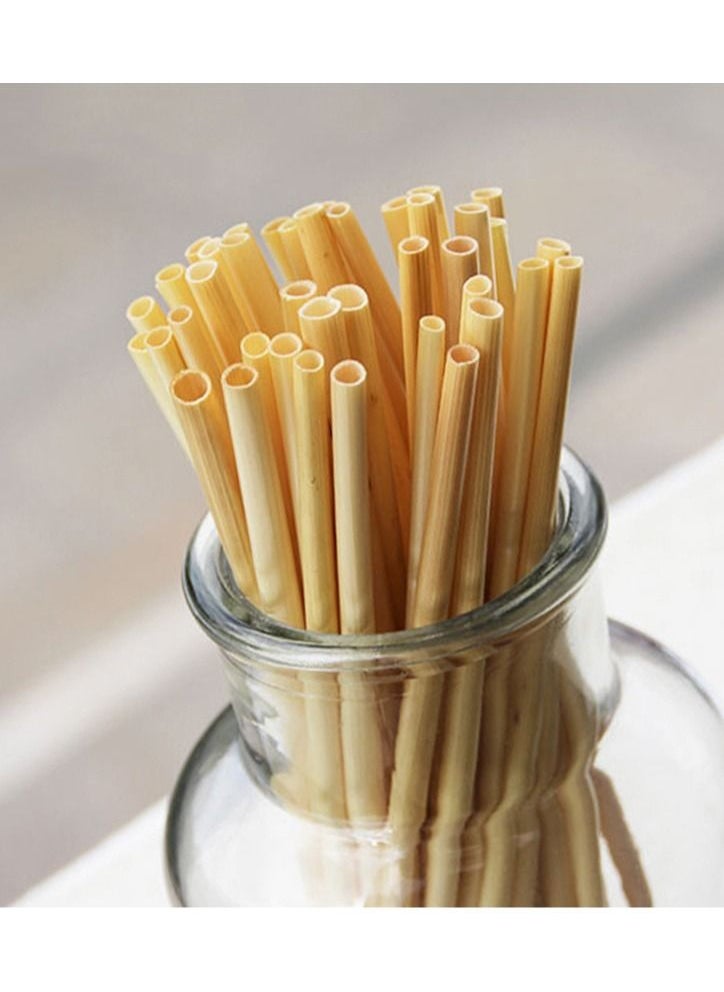 Wheat Straws-100 All-Natural Drinking Straws - Single use Disposable, Biodegradable and Compostable 18cm