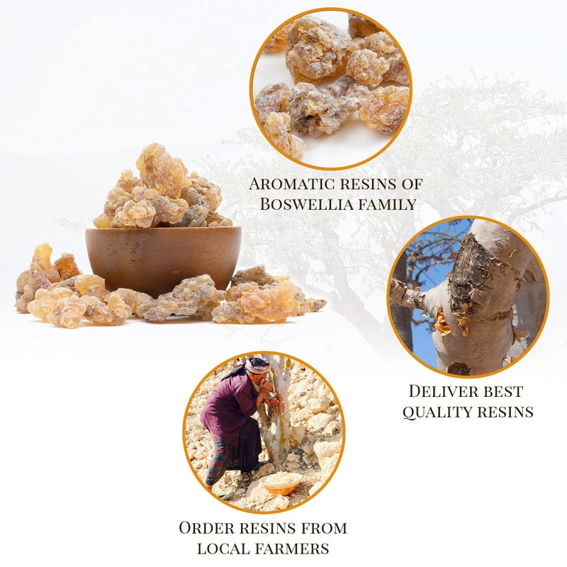 Igneous Products Frankincense Organic Incense By Igneous Products (113.4 Grams) | Premium Somali Incense| Monastery Incense Catholic | Organic Frankincense Gum | Ù„Ø¨Ø§Ù† - Image 4