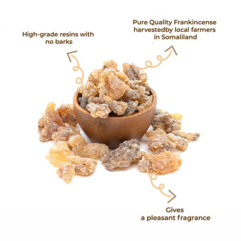 Igneous Products Frankincense Organic Incense By Igneous Products (113.4 Grams) | Premium Somali Incense| Monastery Incense Catholic | Organic Frankincense Gum | Ù„Ø¨Ø§Ù† - Image 3