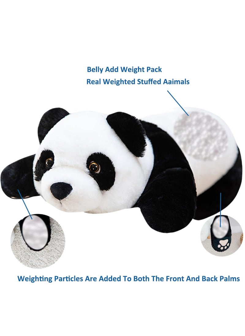 Doireum Doireum Panda Weighted Stuffed Animals  1.76lbs Panda Stuffed Animal Cute Panda Weighted Plush Animals Hugging Pillow Toy for Boys Girls Valentine Christmas  20.8 inch  - Image 2
