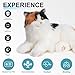 Chongker Interactive Companion Robot Cat Weighted Breathing Stuffed Animals Cat Plush Toy with Meow Voice Breathing Response Realistic Heartbeat and Purring Dark Calico Cat - Image 4