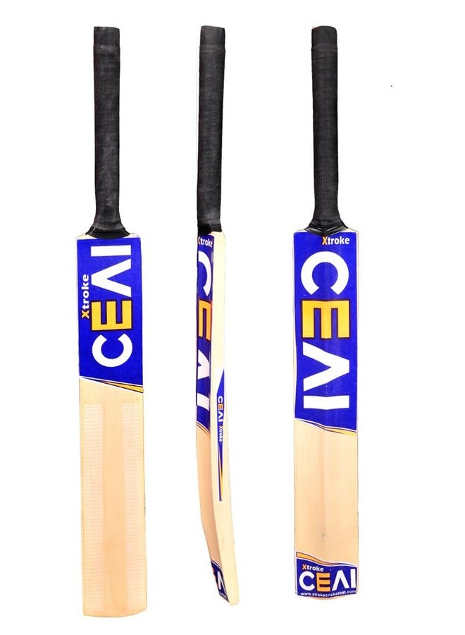 اكستروك مضرب كريكيت فاخر من خشب الصفصاف من إصدار XTROKE CEAI للرجال والبالغين، كرة تنس متطورة للعب جميع أنواع التنس، مناسب لمباريات البطولات (مقاس كامل) - Image 5