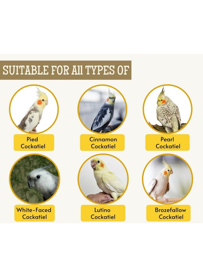 طعام الطيور للكوكتيل - 1 كجم | مزيج بذور طبيعي وصحي ممتاز، كانجني، عباد الشمس، بروسو أصفر، بني، شوفان، لؤلؤي | بذور طعام الطيور اليومية لجميع مراحل الحياة - Image 5