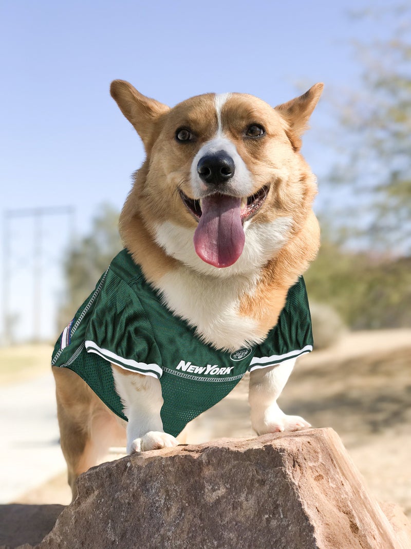 Pets First NFL NEW YORK JETS DOG Jersey, X-Small - Image 2